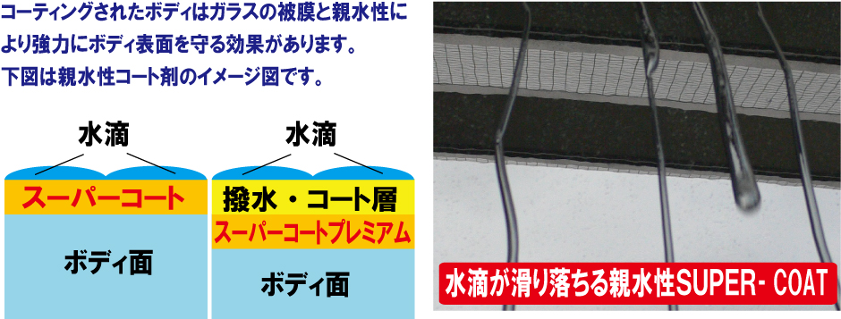 水滴が滑り落ちる親水性スーパーコートT｜コーティングされたボディはガラスの被膜と親水性により強力にボディ表面を守る効果があります。下図は親水性コート剤のイメージ図です。